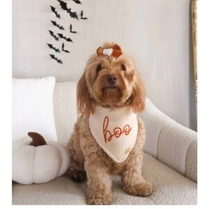 The Deluxe Pup Knitted Bandana - Boo.